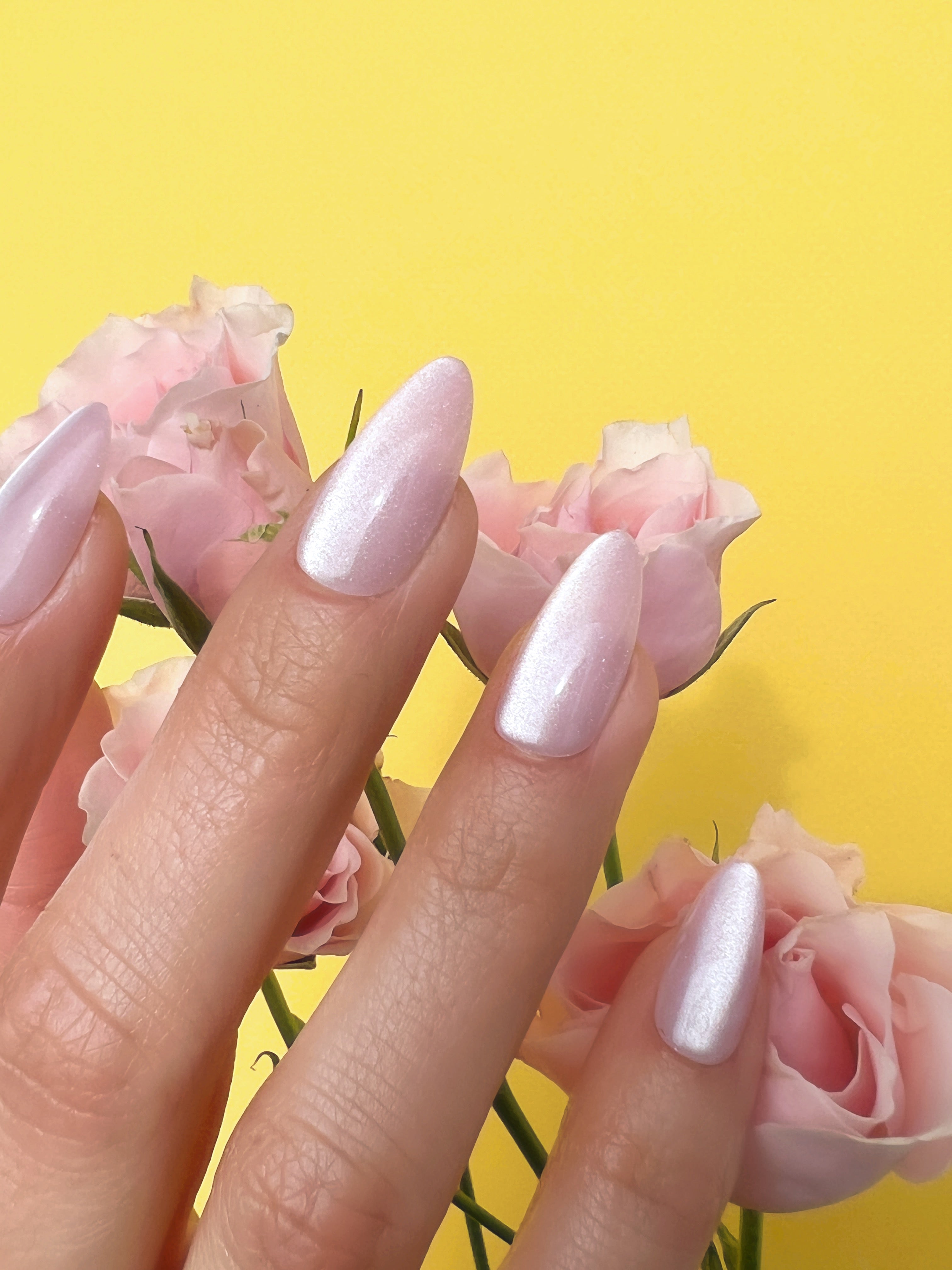 Beauties in Bloom Collection